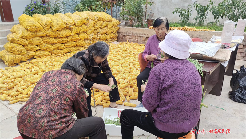 东西携手共谋产业协作   山海同心助力乡村振兴
——青岛市政协委员、青岛瑞丰隆基实业集团董事长肖建华倾力帮扶漳县武当乡发展产业