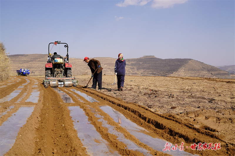 静宁：抢抓农时不误春 顶凌覆膜掀高潮