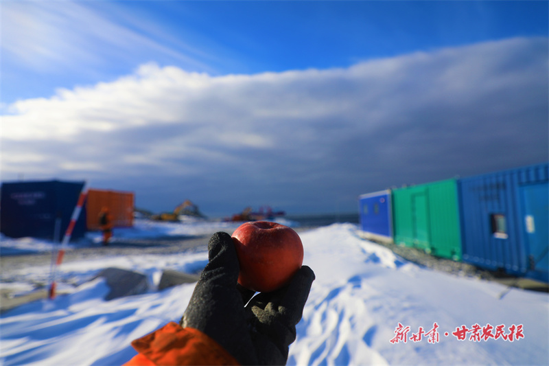 喜讯！静宁苹果成功登陆南极看风景