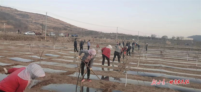 静宁：念好&ldquo;四&rdquo;字诀 开启春耕&ldquo;加速度&rdquo;