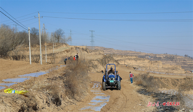 甘谷已完成顶凌覆膜5.7万亩