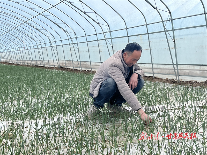 边家湾村土地&ldquo;变形记&rdquo;