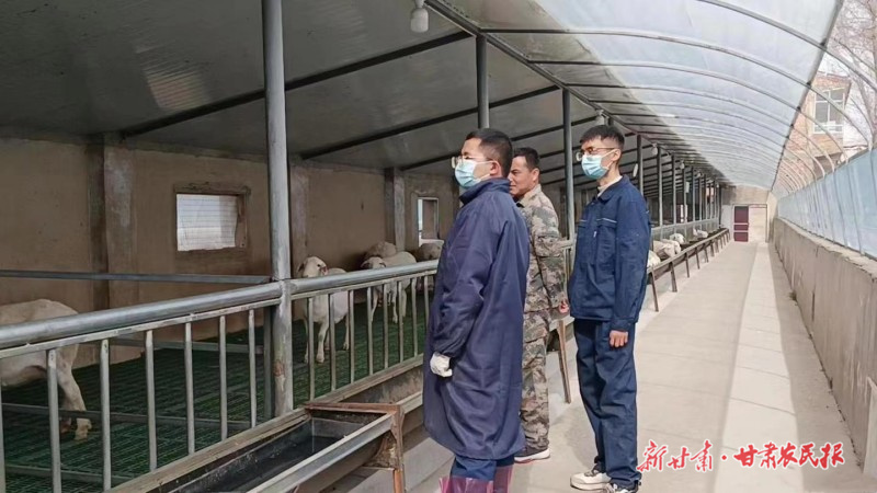 康乐 跨越千里的&ldquo;羊先锋&rdquo;