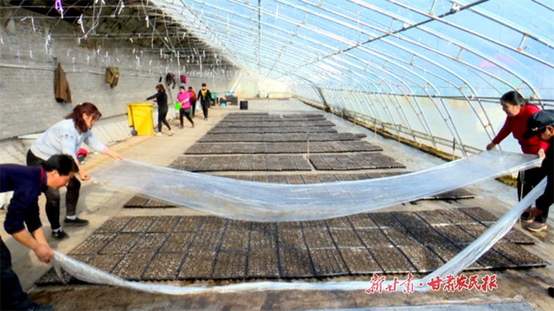 华亭 科技育出&ldquo;富民苗&rdquo;