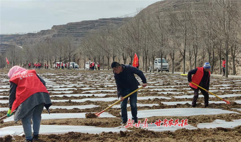 甘谷县大庄镇：紧抓春耕生产 助推乡村振兴