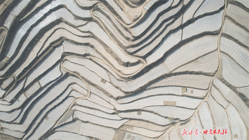 不负农时！静宁县顶凌覆膜掀高潮