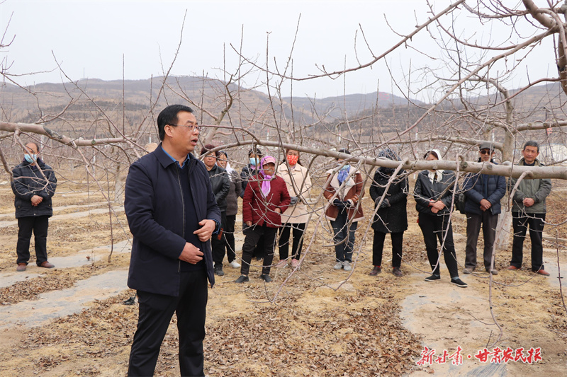 静宁：砥砺奋进启新程 &ldquo;链&rdquo;出产业致富路