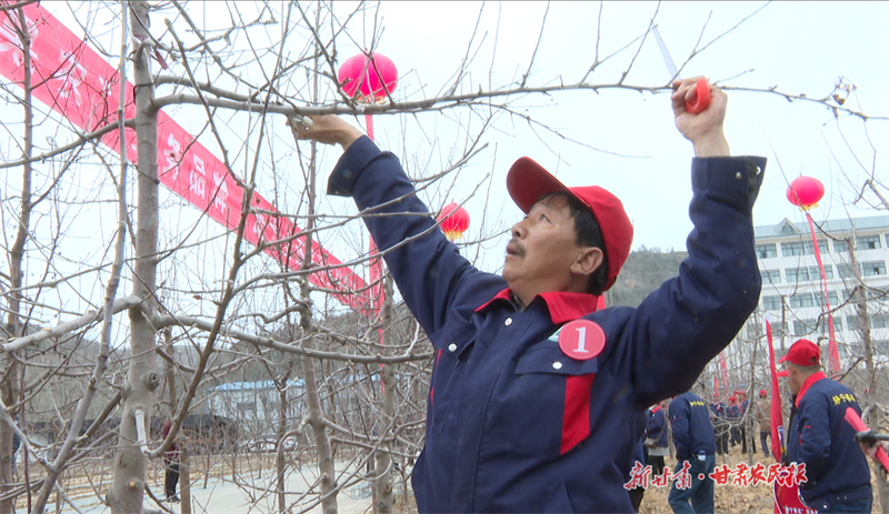 静宁：以赛促技赛出&ldquo;静宁果农&rdquo;务果水平