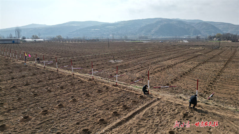 &ldquo;三抓三促&rdquo;在静宁&ldquo;落地开花&rdquo;