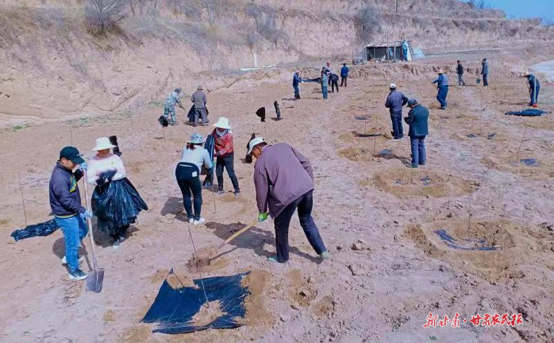 麦积区：不负农时绘好&ldquo;春耕图&rdquo;