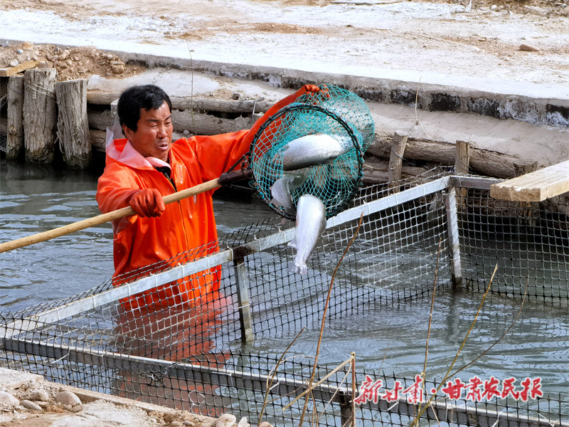 打捞鱼