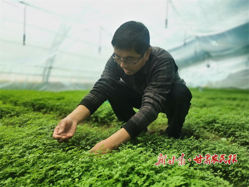 郭增祥和&ldquo;岷归&rdquo;的故事
