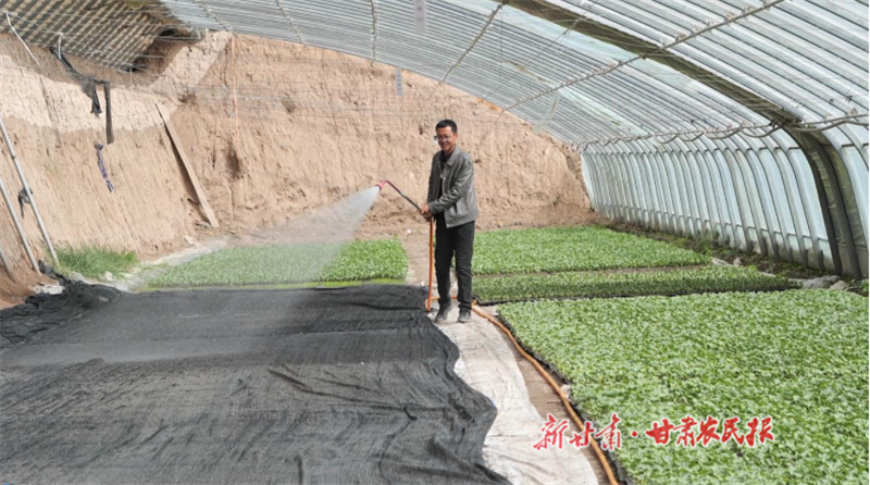 胡学敏：让村民的荷包鼓起来
