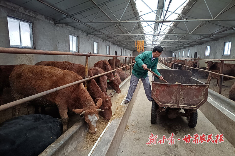 靳江龙的&ldquo;养牛经&rdquo;
