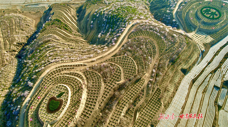 静宁：加强造林绿化为成纪大地增绿