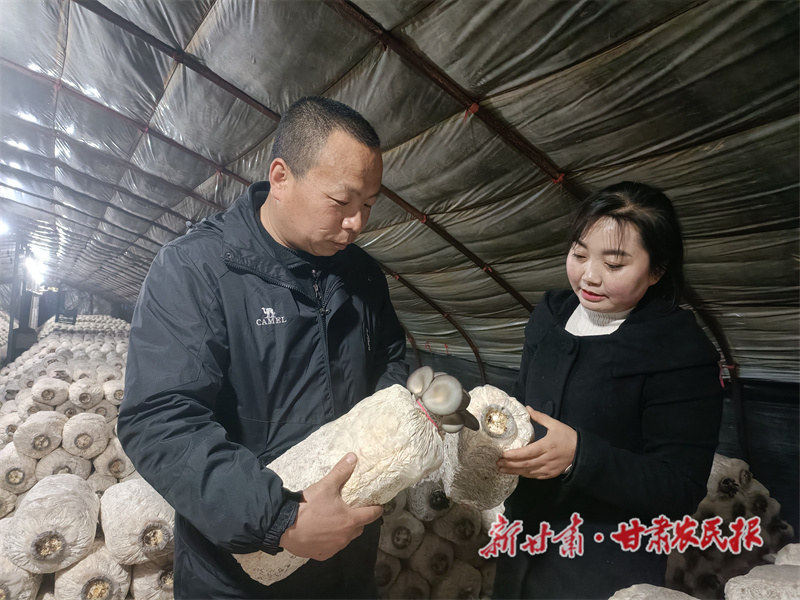 “夫妻档”返乡创业念“菇”经
