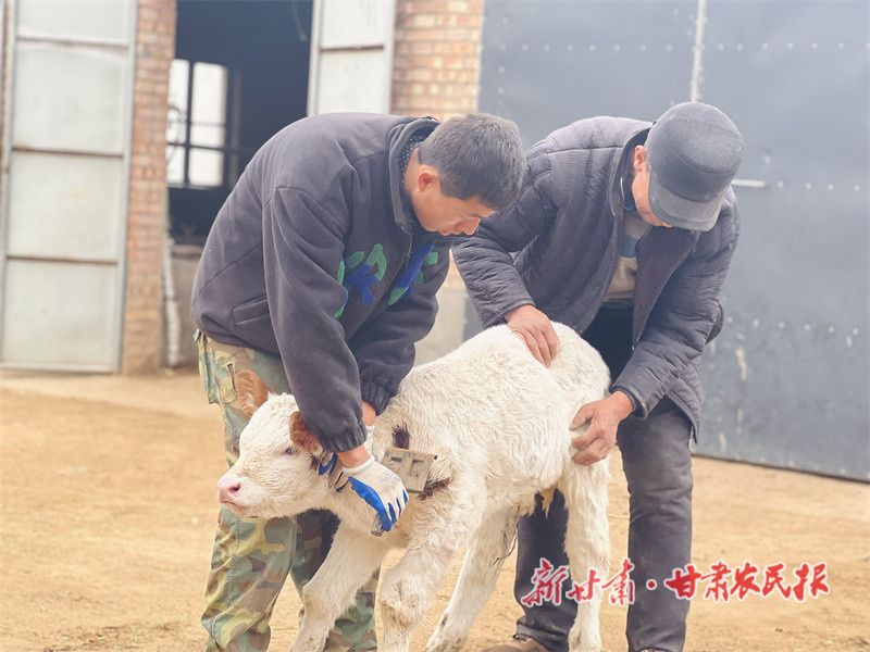 90后夫妻返乡“跳农门”