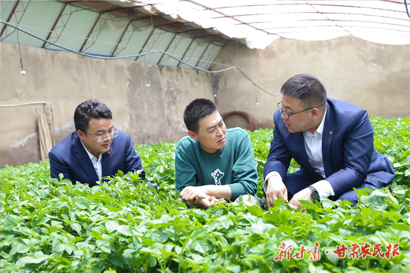 金融&ldquo;活水&rdquo;助春耕&mdash;&mdash;甘肃农担保障全省春耕融资担保实现一季度开门红