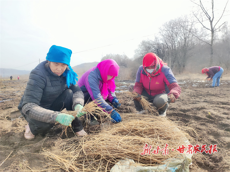 和政：产业敲开致富门