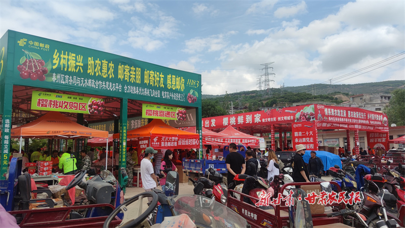 &ldquo;绿邮政&rdquo;催熟&ldquo;红樱桃&rdquo;&mdash;&mdash;甘肃邮政着力打造天水&ldquo;中梁模式&rdquo;探析