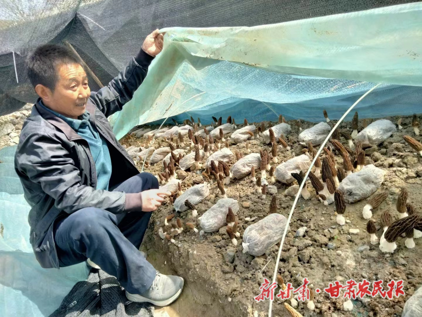 郭五斤：我的梦想值千金