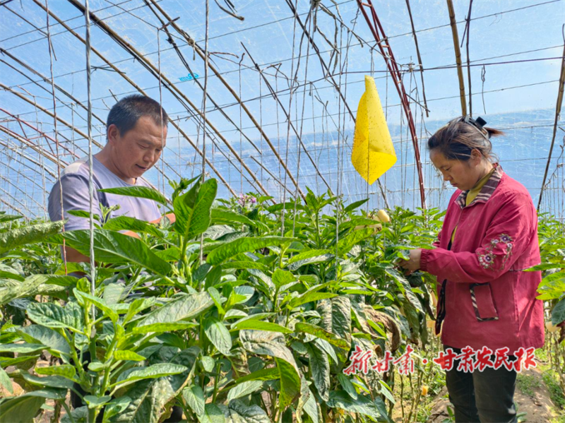 田东山的“牛”希望
