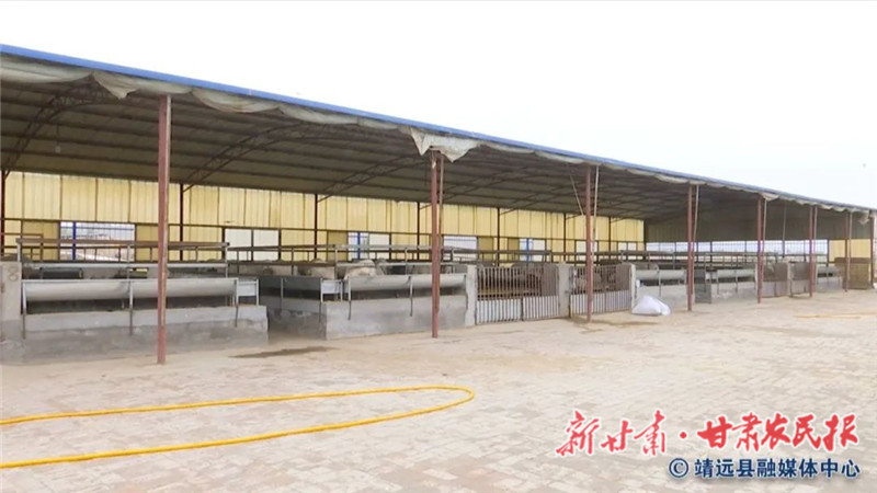 靖远红嘴村：&ldquo;高床&rdquo;养羊&ldquo;钱&rdquo;景佳