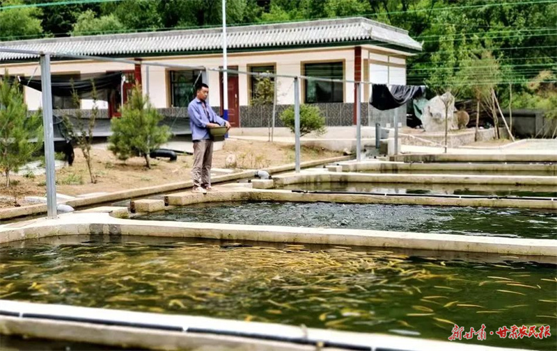 麦积区东岔镇：好山好水养好冷水鱼 做足乡村旅游大文章