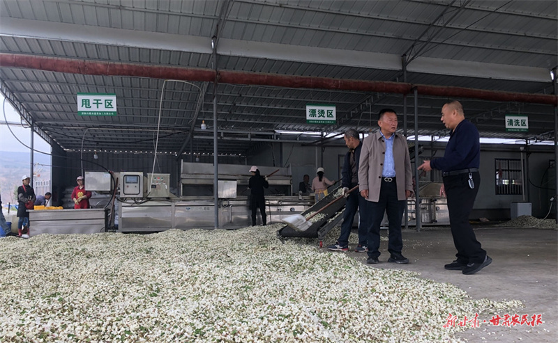 甘谷：加快惠农服务体系建设 助力特色产业发展