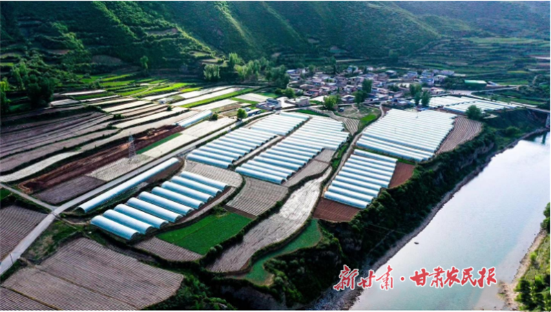 康乐县：蔬菜大棚种出好&ldquo;丰&rdquo;景
