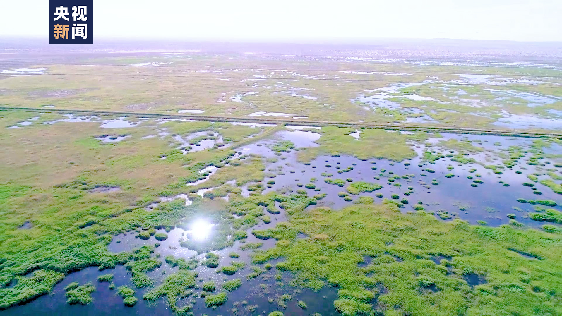 现场深镜头 | 沙漠里的湖是怎样复活的？