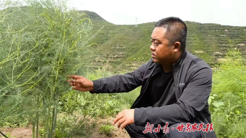 ​“新农人”李冬彦