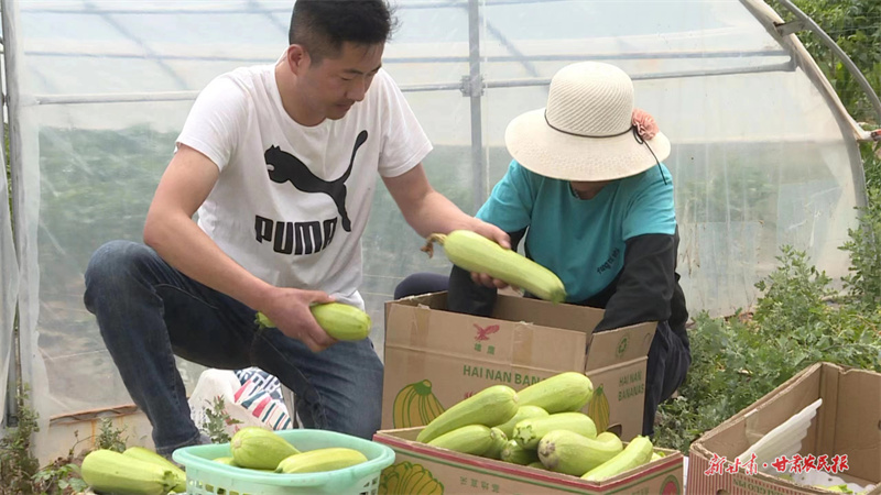 甘谷张龙杰：把“军魂”书写在田间地头