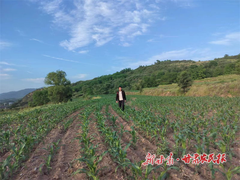 刘国平：坚守“粮”心换来“粮”辰
