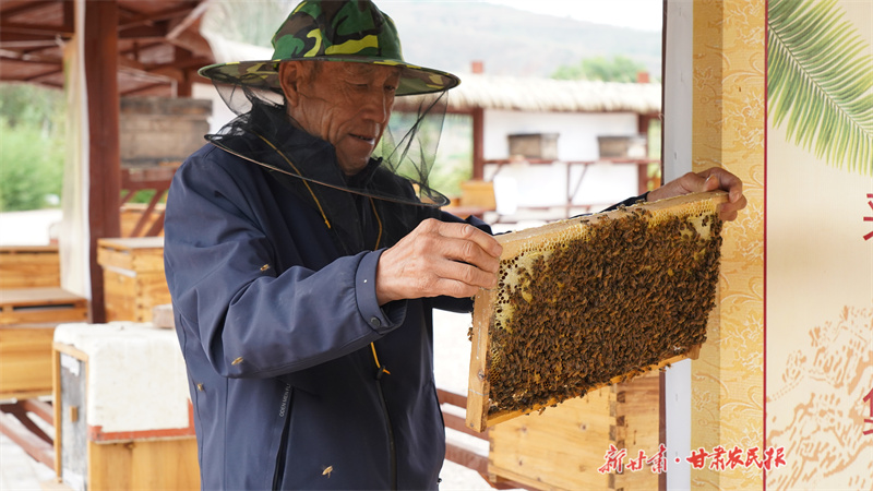 静宁县：东西部协作搭桥梁 乡村振兴添力量