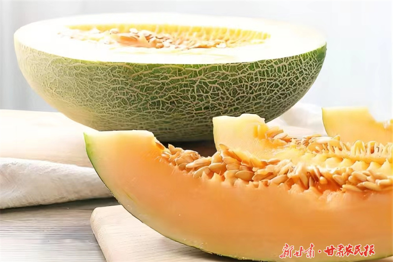 一个瓜&ldquo;链&rdquo;出亿元产业的&ldquo;蜜&rdquo;诀 &mdash;&mdash;玉门市花海镇蜜瓜产业发展综述