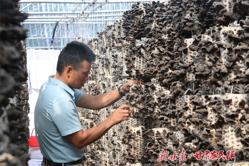 西峰区:奏响产业发展&ldquo;致富曲&rdquo;
