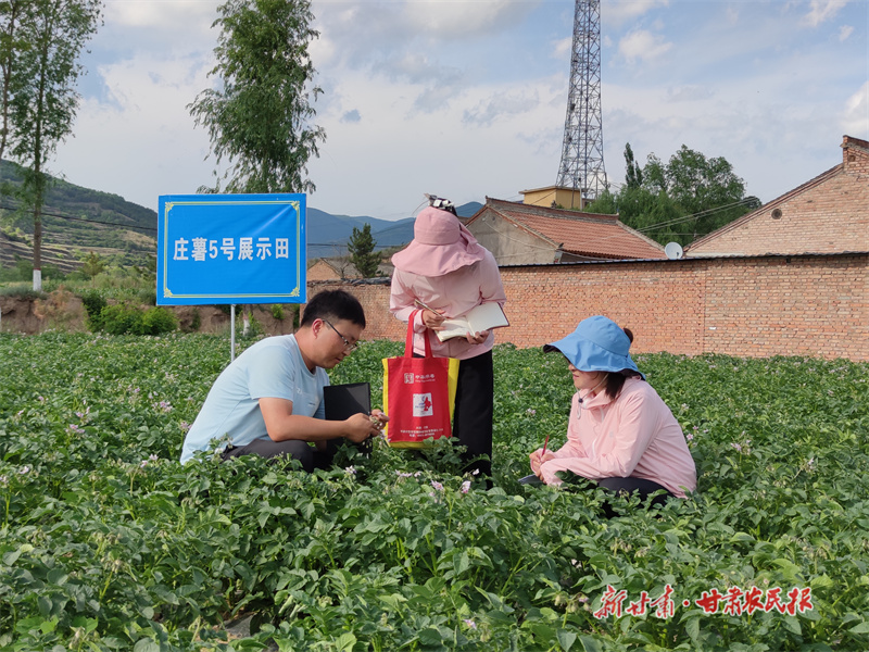 庄浪：产业链上绘就好“丰”景