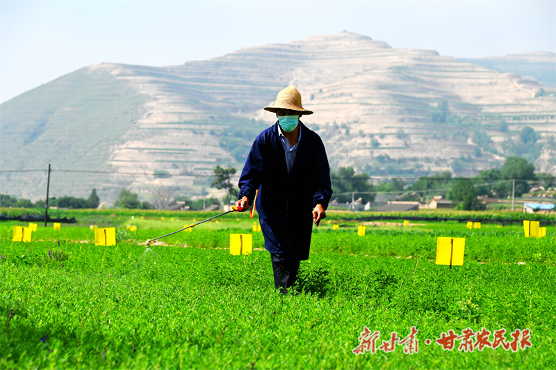 药田进行喷药、除草