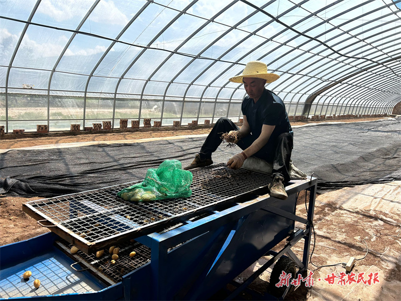 静宁：&ldquo;金蛋蛋&rdquo;壮大村集体经济