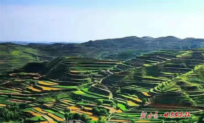 庄浪：乡村和美气象新