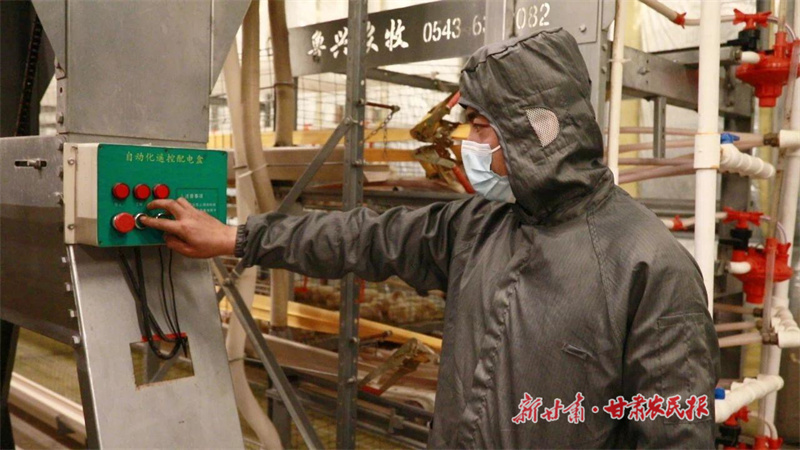 瓜州：&ldquo;智能鸡场&rdquo;铺富路