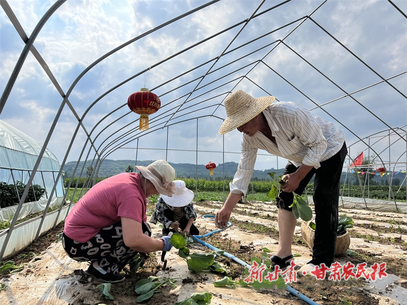 “老把式”的乡村振兴梦