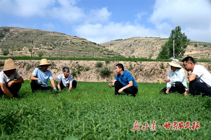 指导药农科学防治病虫害