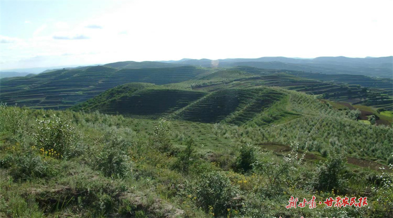 静宁：擦亮“生态底色” 提升“发展成色”