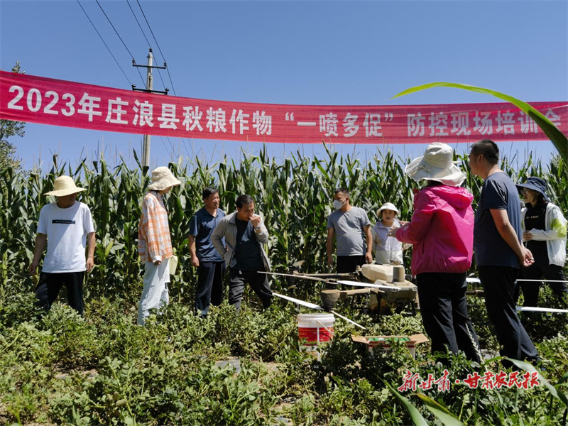 庄浪：“一喷多促”保秋粮丰收