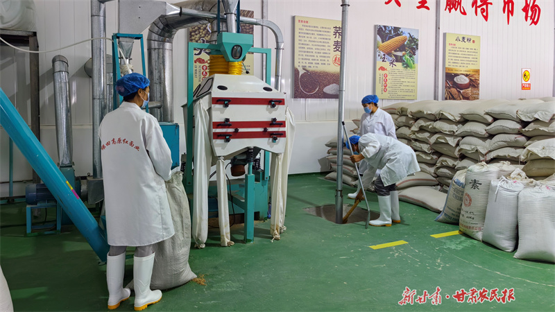 庄浪：村集体经济“活”起来 乡村产业“兴”起来