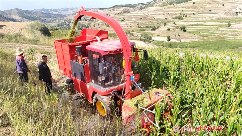 静宁：“粮改饲”带来高收益
