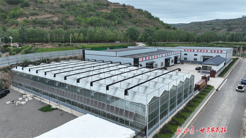 激活“动力源”！庄浪县村级集体经济赋能乡村振兴