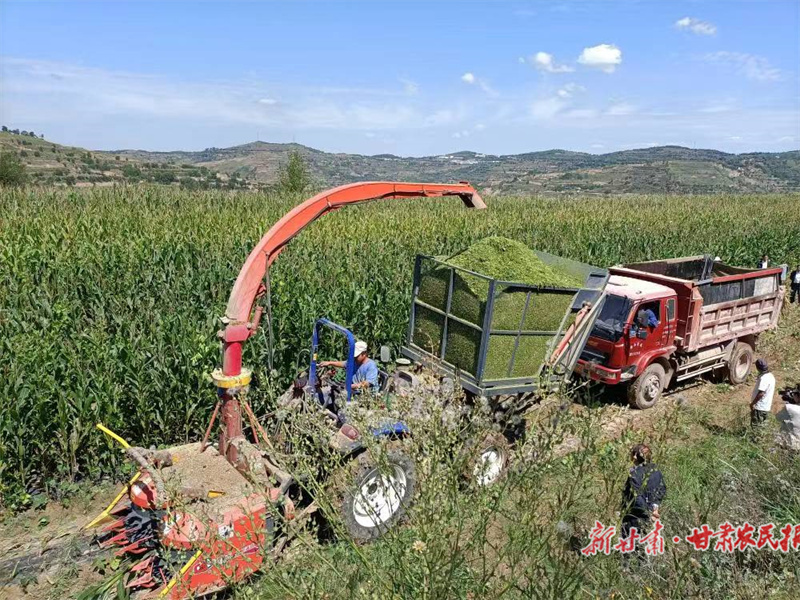 庄浪：奏响产业发展“秋收曲”